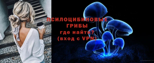 apvp Бугульма